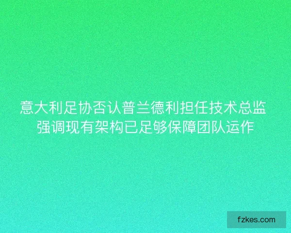 意大利足协否认普兰德利担任技术总监 强调现有架构已足够保障团队运作 意大利足协否认普兰德利担任技术总监 强调现有架构已足够保障团队运作